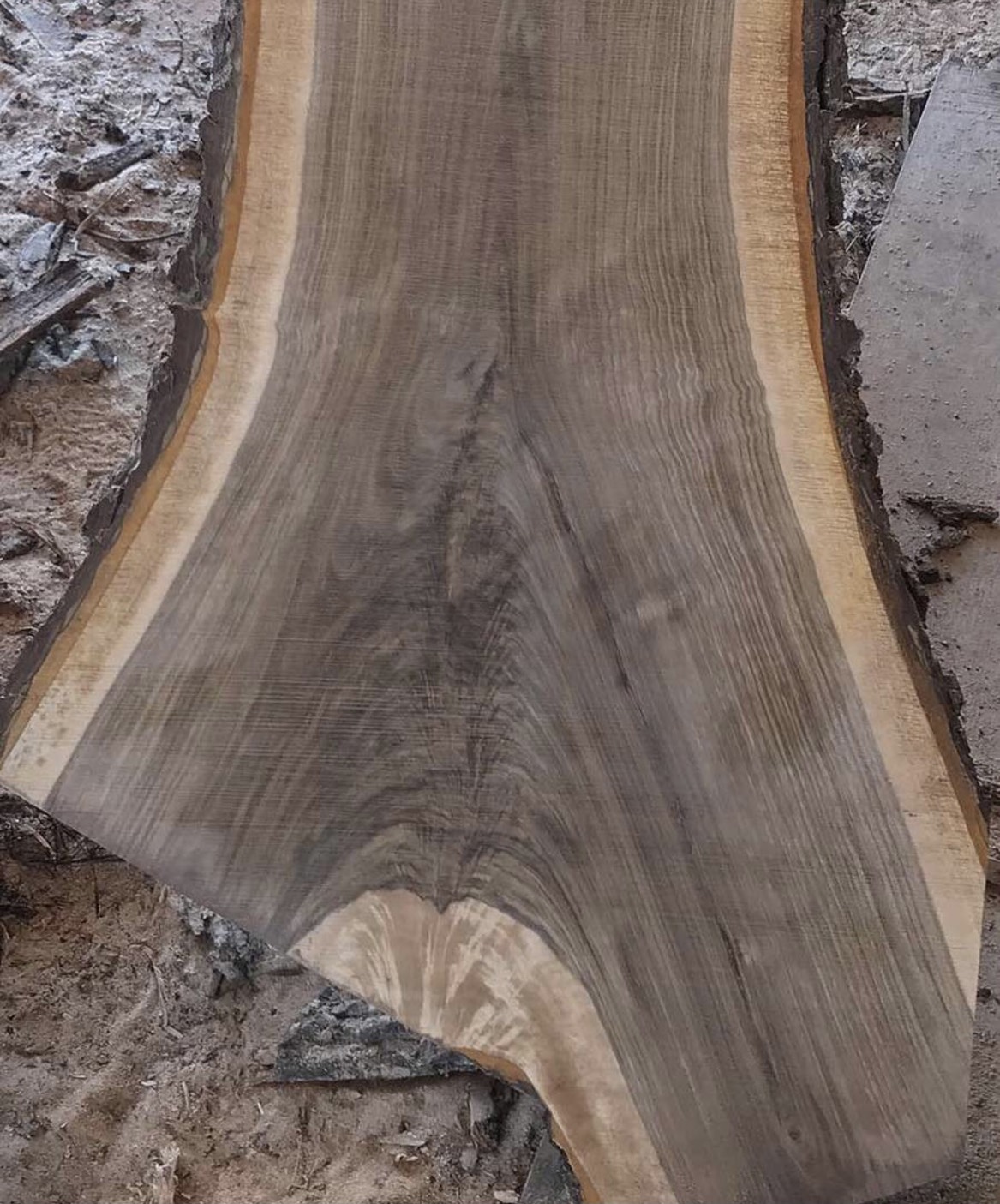 9ca15df2a4b86ae633a9