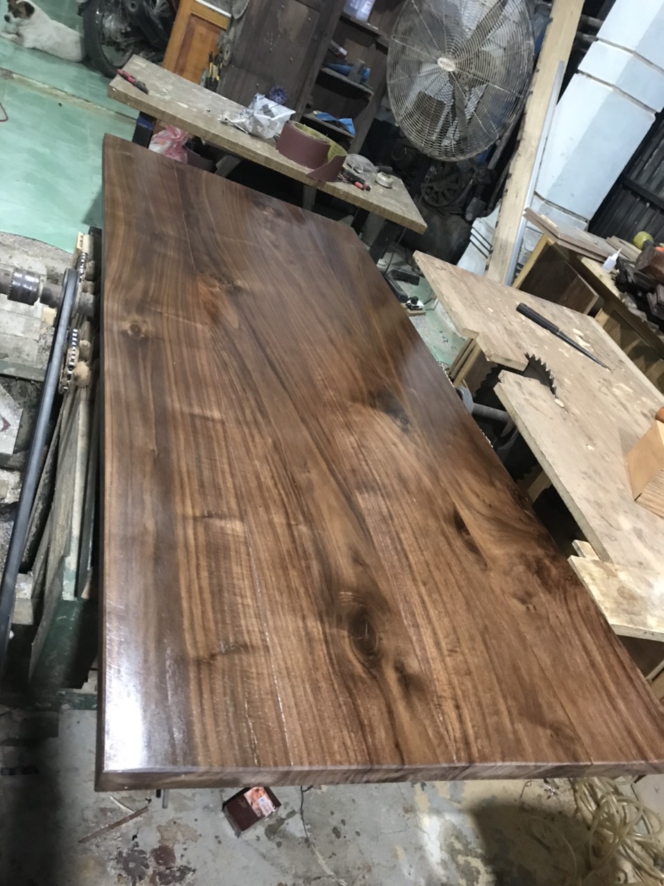 gỗ walnut